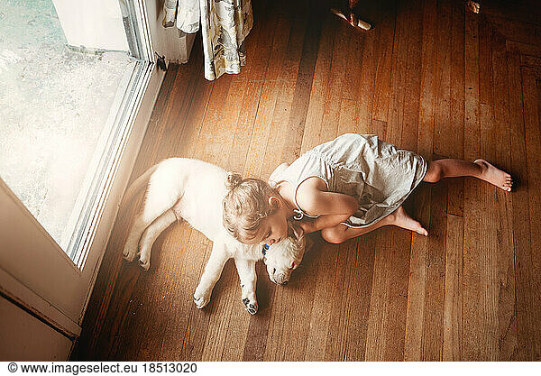 yellow Labrador lab puppy snuggling with little girl