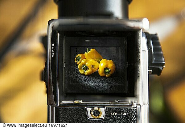 Yellow peppers in the viewfinder of a Hasselblad 503 CW camera.