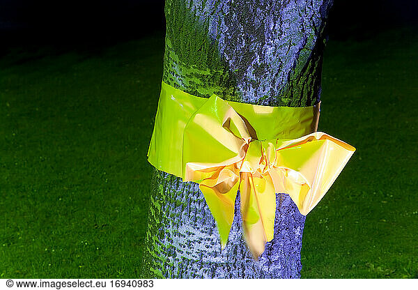 Yellow ribbon tied round tree  Dusseldorf  Germany