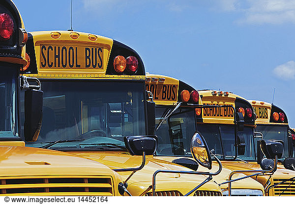 Yellow school buses parked diagonally