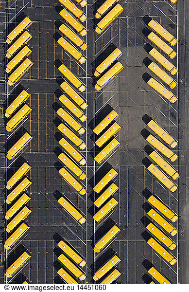 Yellow school buses parked diagonally in parking lot