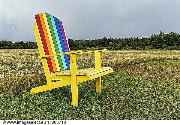 Yellow wooden chair  back painted in rainbow colours  standing in a meadow  oversized  dreary  rainy weather  Gotland Island  Sweden  Europe