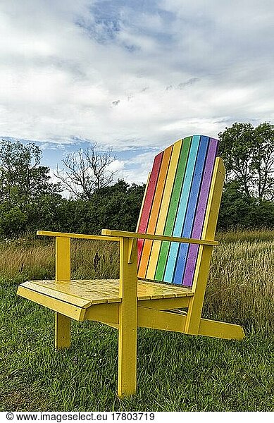 Yellow wooden chair  back painted in rainbow colours  standing in a meadow  oversized  raindrops  Gotland Island  Sweden  Europe