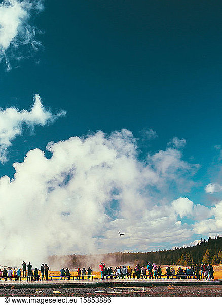 Yellowstone National Park Landscape Geysers  Hotsprings USA  Wyoming