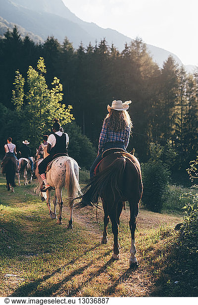 Young adult friends horse riding by forest  rear view  Primaluna  Trentino-Alto Adige  Italy