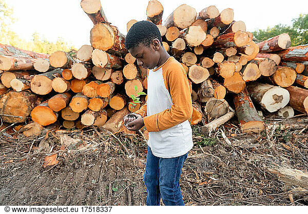 Young Black boy holds sapling on logging site
