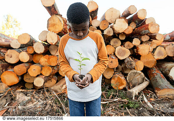 Young Black boy looks down at sapling in his hands