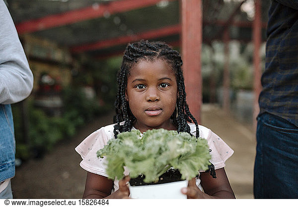 Young black girl with long braids holding bedding plant at nursery
