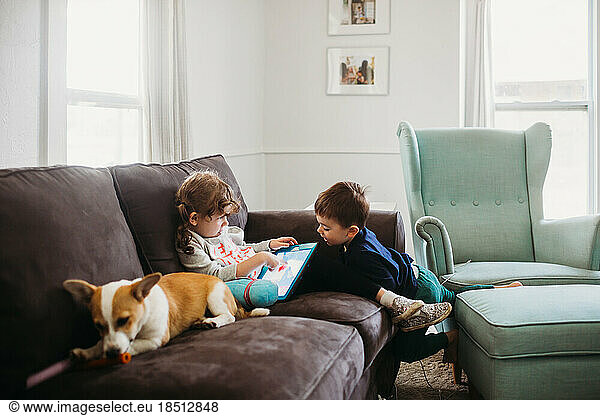 Young boy and girl sitting on couch with corgi pupply and tablet