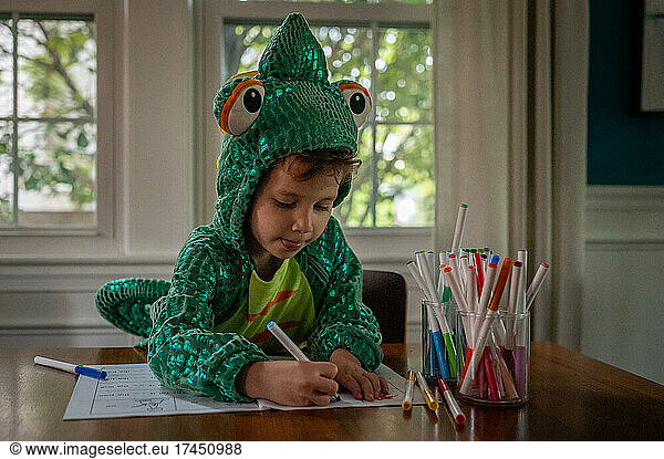 Young boy in a lizard costume writing with markers