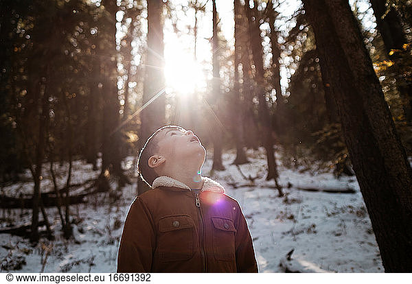 Young boy in forest looking up at the sun in the winter