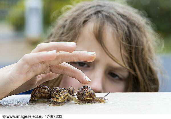 Young boy looking closely at snails on a wall.