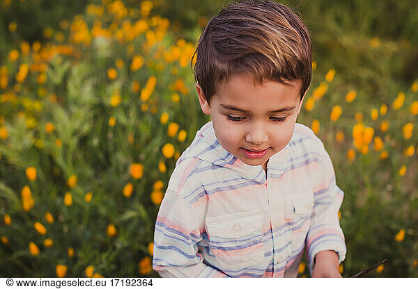 Young boy on a field of yellow wild flowers during super bloom.