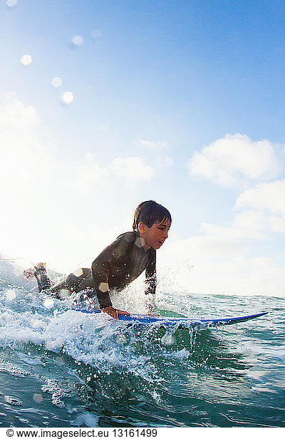 Young boy practicing on surfboard  Encinitas  California  USA