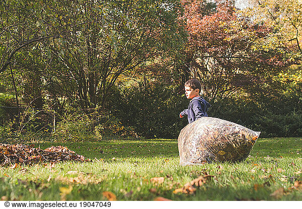 Young boy pulling a large bag of leaves in grassy yard.