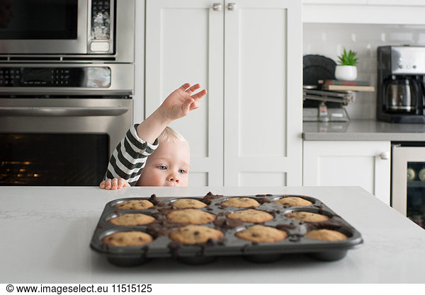 Young boy reaching up to freshly baked caked in baking tray