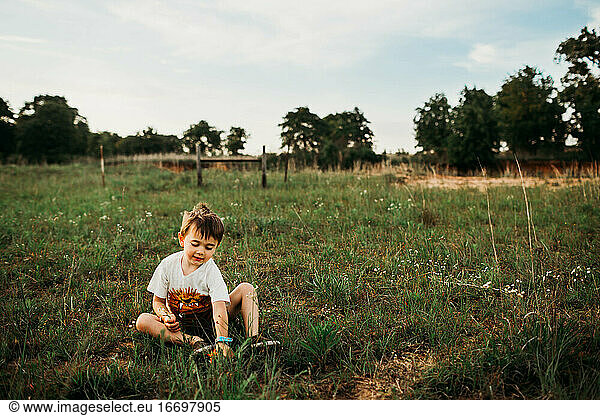 Young boy sitting in an open field picking flowers