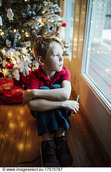 Young boy smiling and sitting by Christmas tree  looking out window