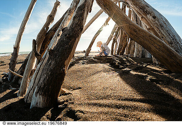 Young boy under driftwood structure at beach