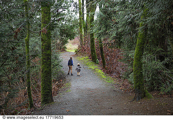 Young brothers walk together and explore on a park trail; Aldergrove  British Columbia  Canada