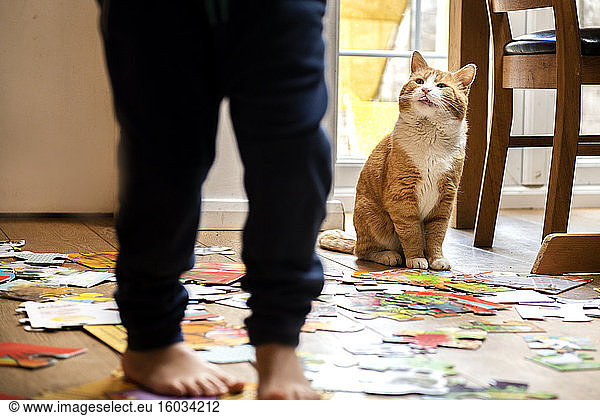 Young child playing indoors with ginger tabby cat.