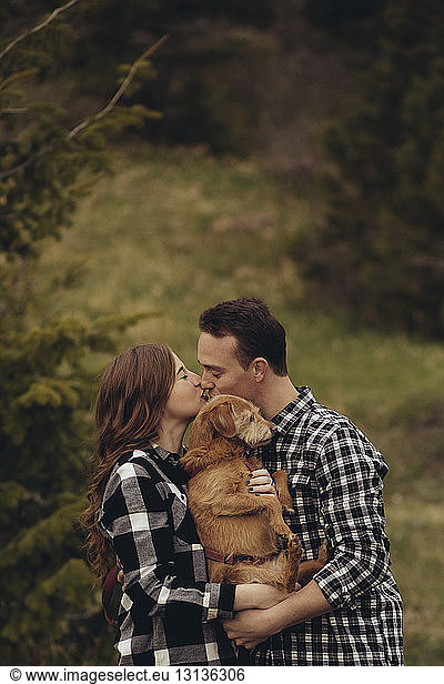 Young couple carrying dog while kissing on mouth