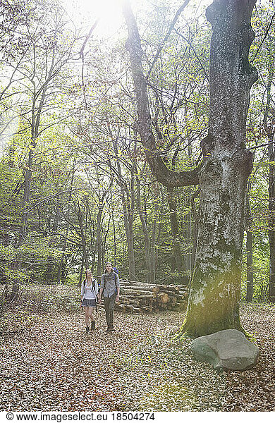 Young couple hiking with backpack in a forest  Bavaria  Germany