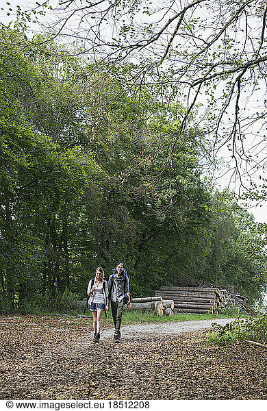 Young couple hiking with backpack in a forest  Bavaria  Germany
