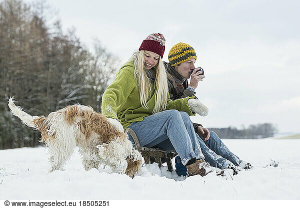Young couple sitting on Sledge with dog in snowy landscape during winter  Bavaria  Germany