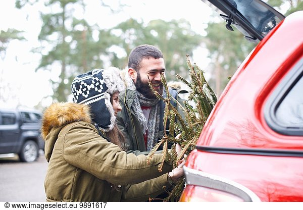 Young couple with Christmas tree into car boot