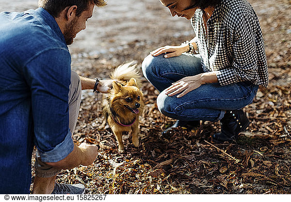 Young couple with dog in a park