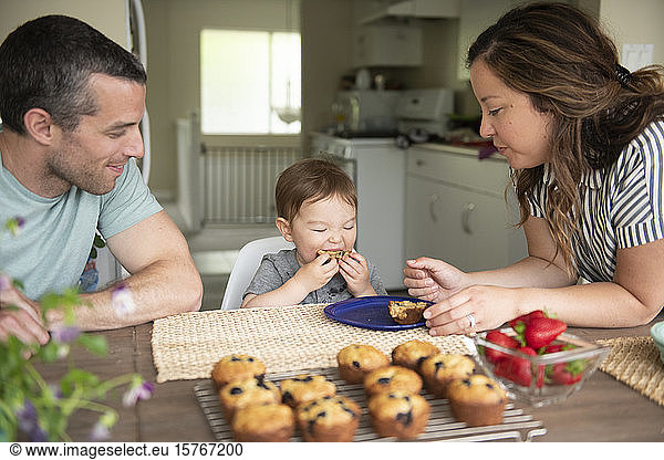 Young family eating fresh muffins in kitchen