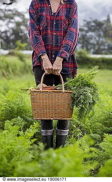 Young farmer holding basket of vegetables at field