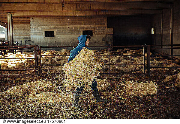 Young farmer throwing straw in the stables