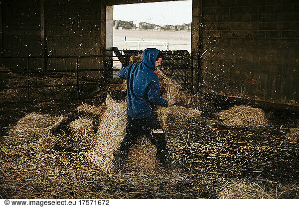 Young farmer throwing straw in the stables