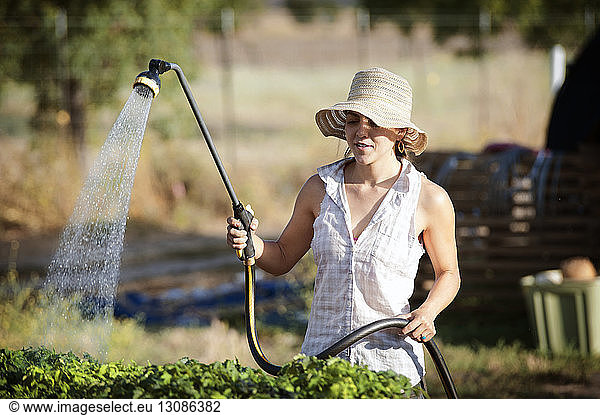 Young female farmer watering plants on field