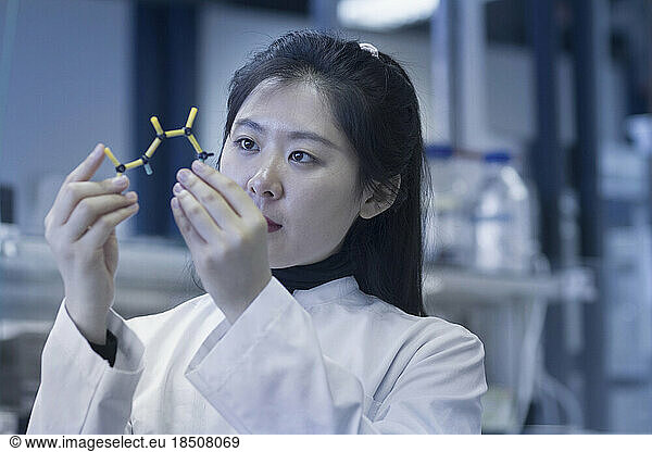 Young female scientist examining molecular model in a laboratory  Freiburg im Breisgau  Baden-Württemberg  Germany