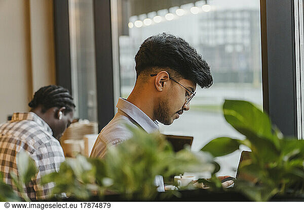 Young freelancer wearing eyeglasses working at cafe