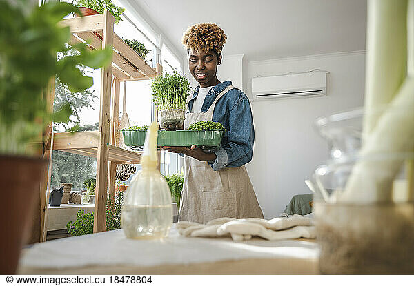 Young gardener holding container of microgreens at home