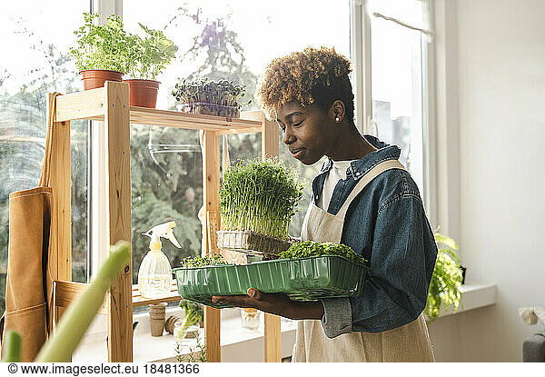 Young gardener with eyes closed smelling fresh plant at home