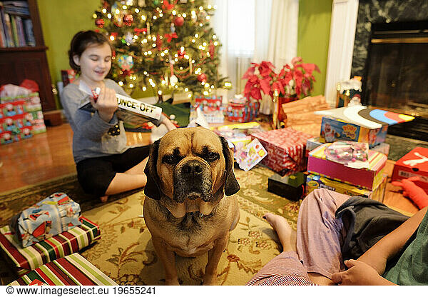 Young Girl and Dog on Christmas Morning