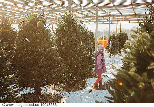 Young girl at a Christmas Tree Farm in the snow
