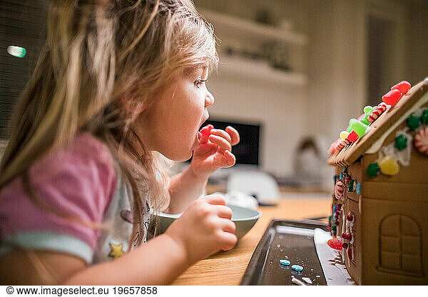 young girl eats candy while decorating her gingerbread house