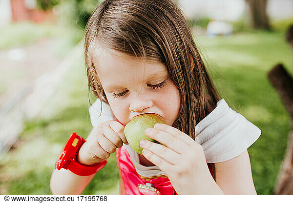 Young girl eats freshly picked pear in her backyard.