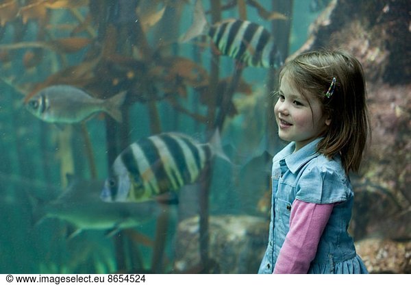 Young girl enjoying tropical fish in aquarium