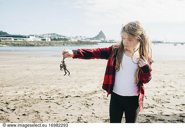 Young girl holding dead crab on the beach