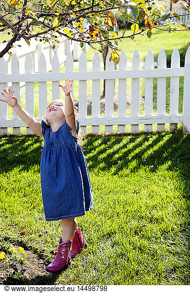 Young Girl in Denim Dress and Pink Cowboy Boots Reaching up to Tree