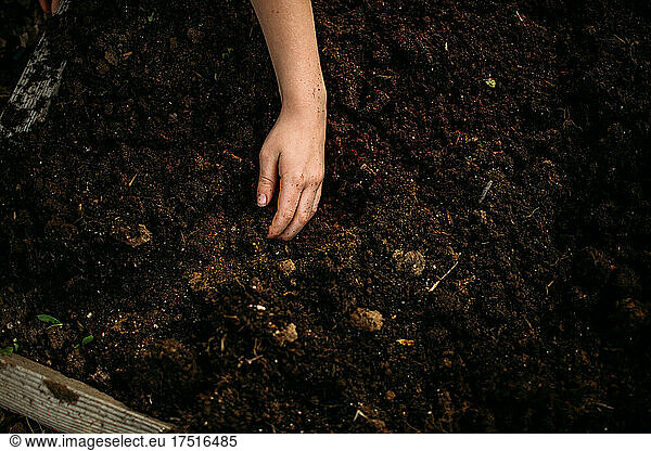 Young girl's hand digging in dirt outside
