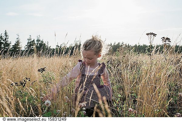 young girl sitting in a meadow picking flowers at sunset