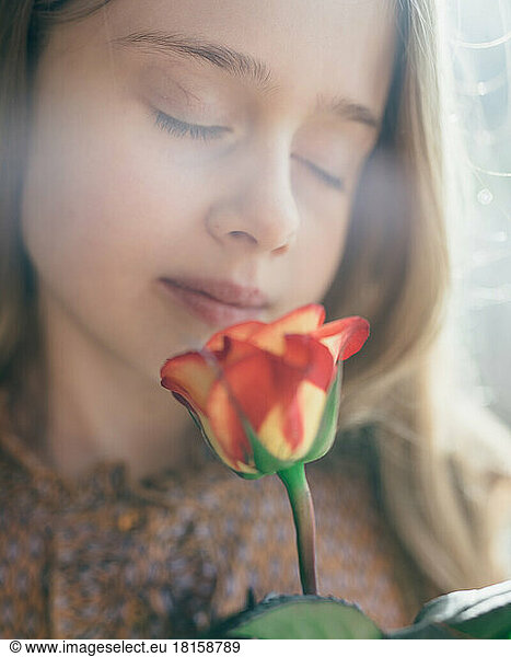Young girl smelling red rose.